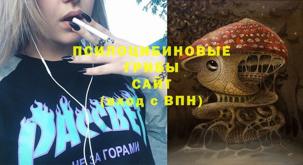 не бодяженный Гусь-Хрустальный