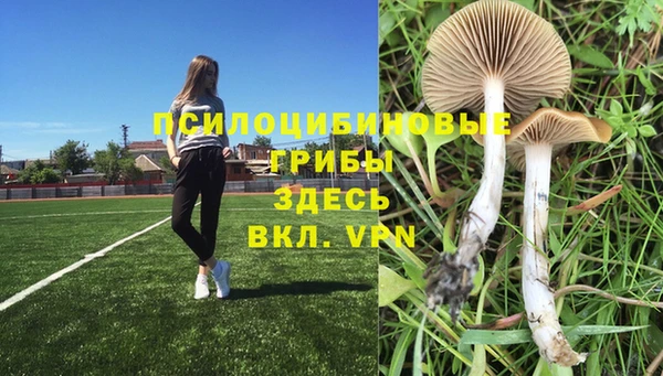 не бодяженный Гусь-Хрустальный