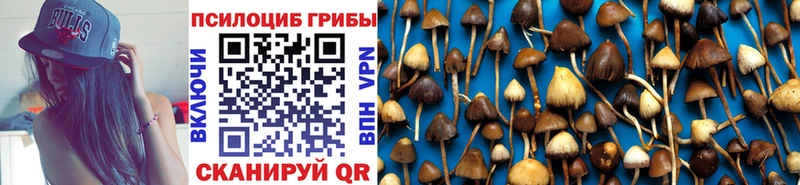 Галлюциногенные грибы Magic Shrooms  Купить где  Волчанск 